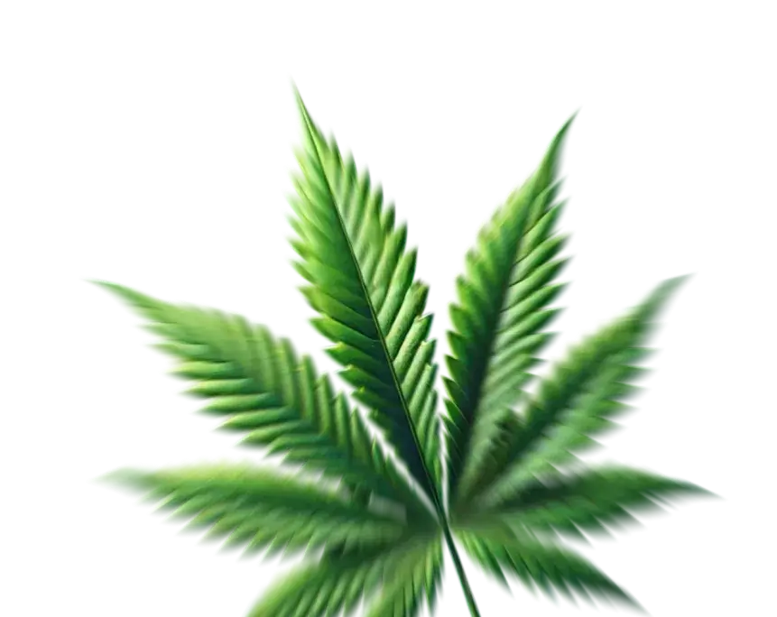 Cannabis-Leaf-1