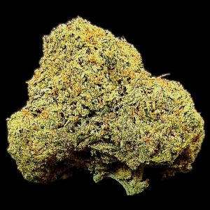 Cannabis strain called Dosi Dos