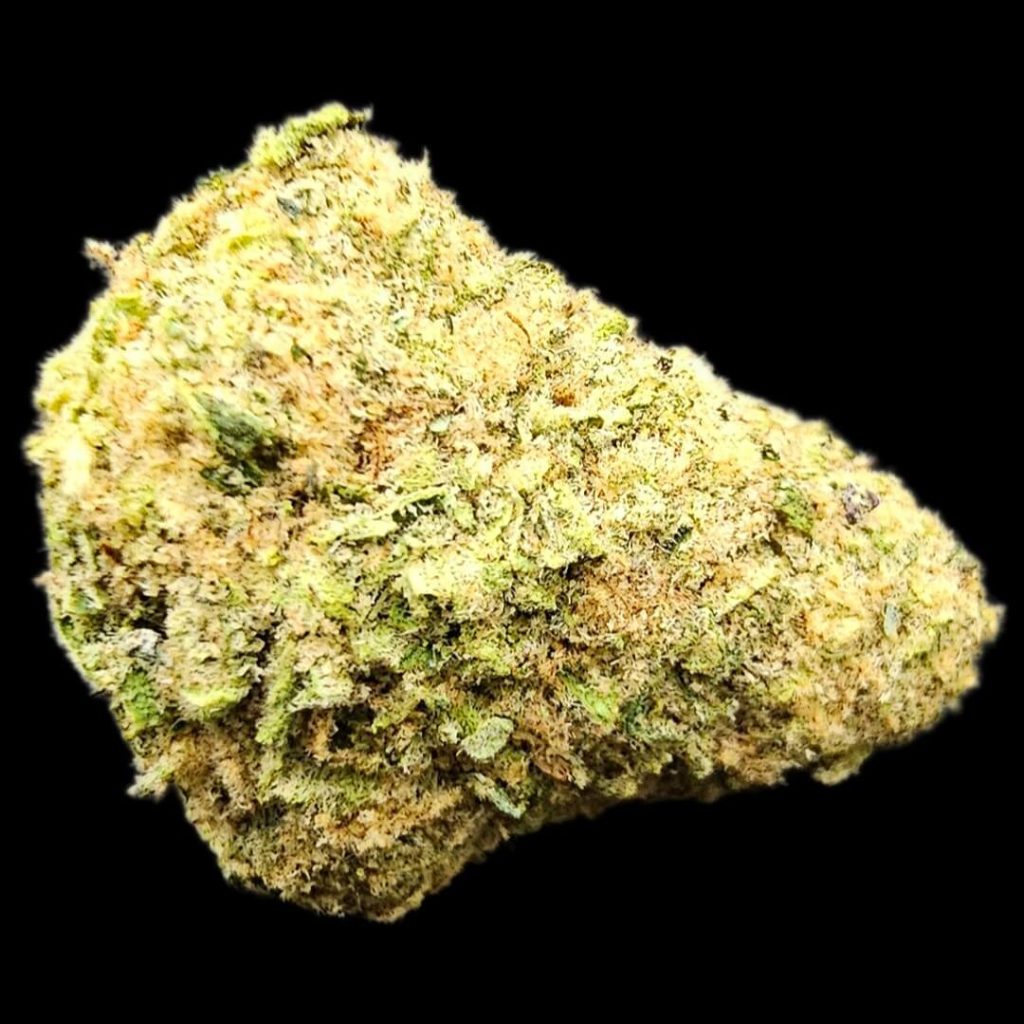 Cannabis strain called Super Silver Haze