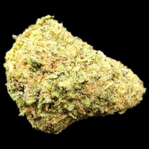 Cannabis strain called Super Silver Haze