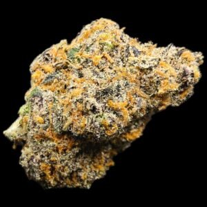 Gelato 41