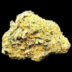 Orange Mimosa