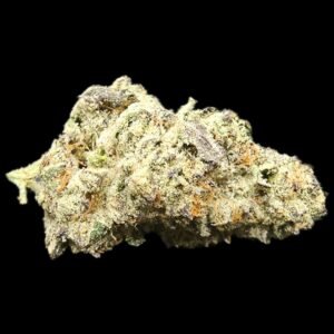 Jungle Cake