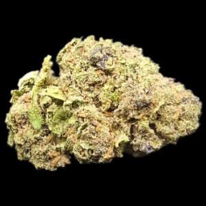 cannabis strain called jack herer