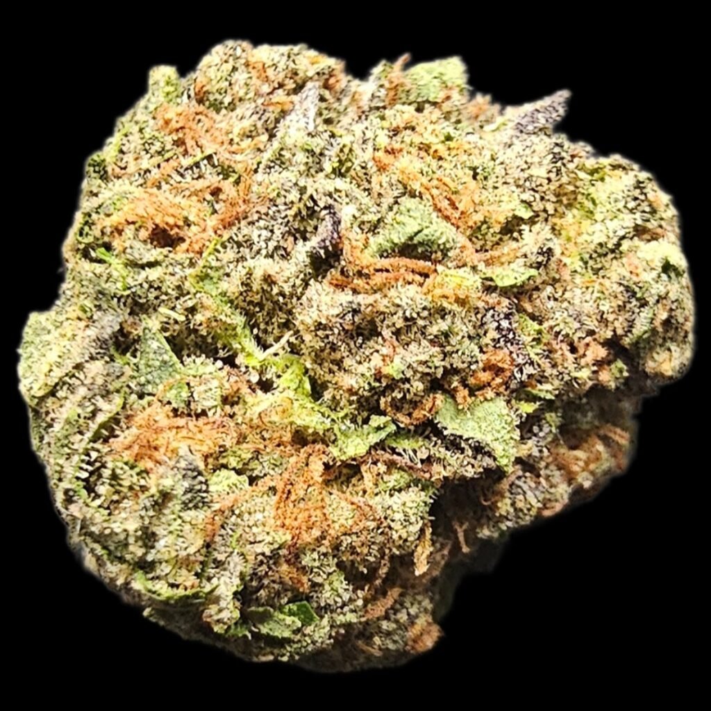 Cannabis Strain Called Gorilla Glue #4 Pops