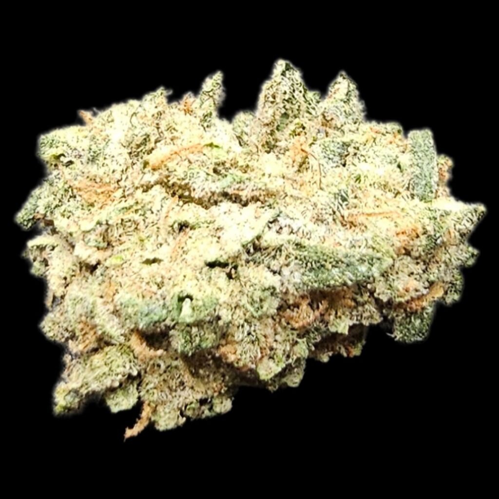 cannabis strain called Sensi Star