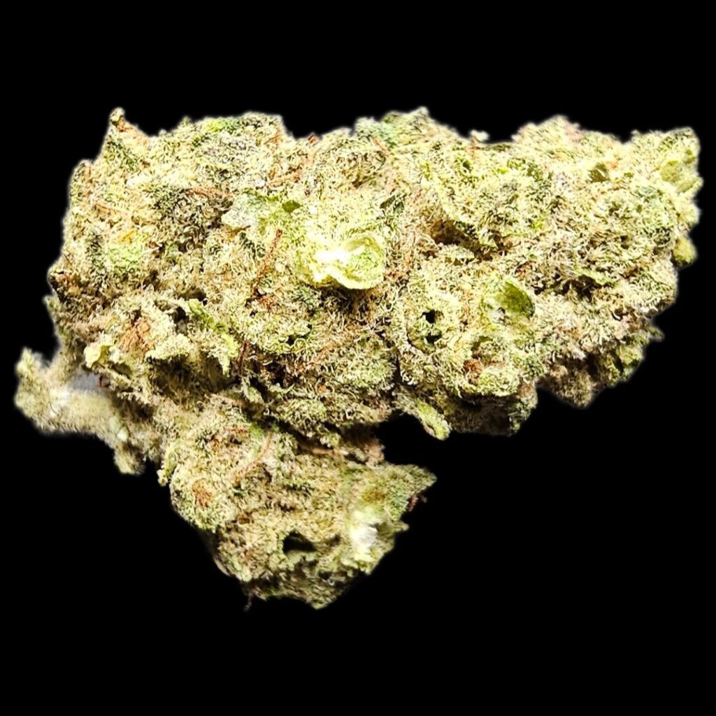 大麻品種名為 Sour Tangie