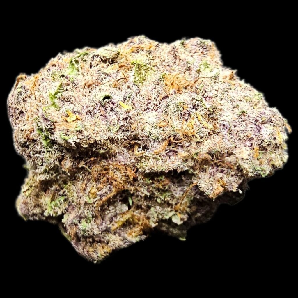 紫丁香雪葩