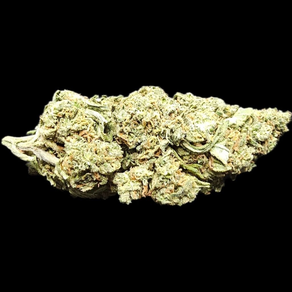 Cannabis Strain Called Jack Herer
